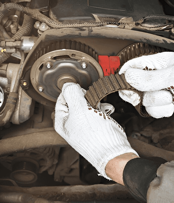 Timing Belt Change